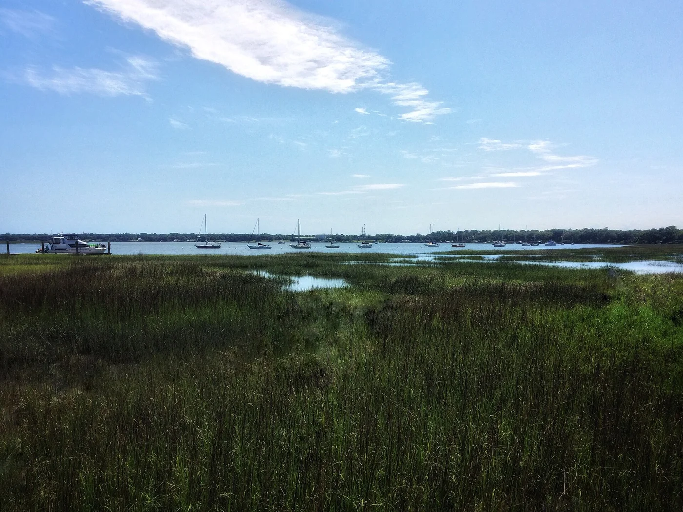 Tidal marsh beside Beaufort South Carolina