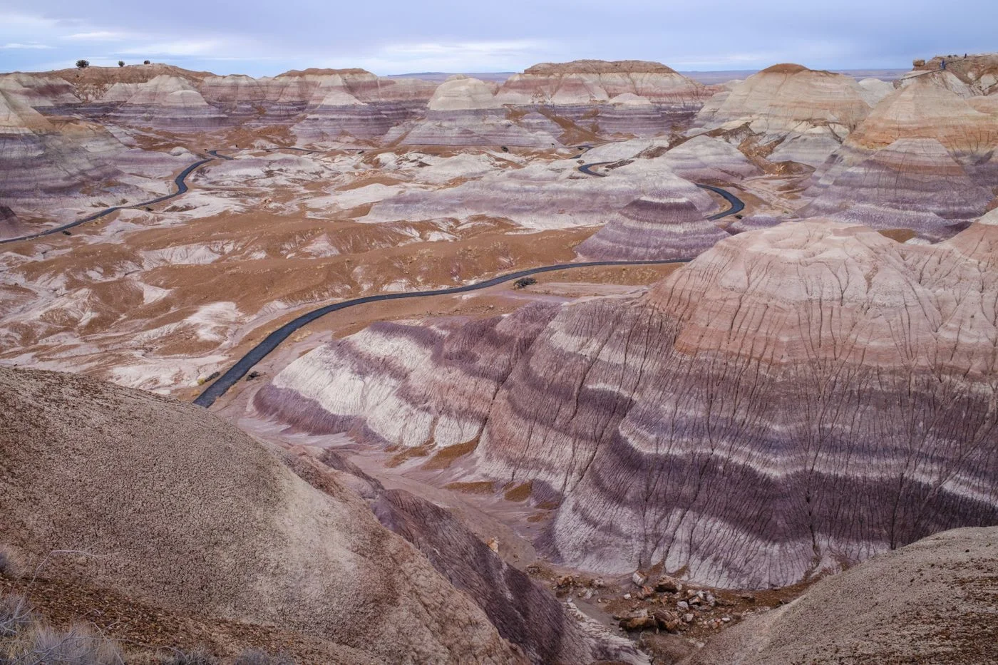 Colorful badlands in Petrified Forest National Park