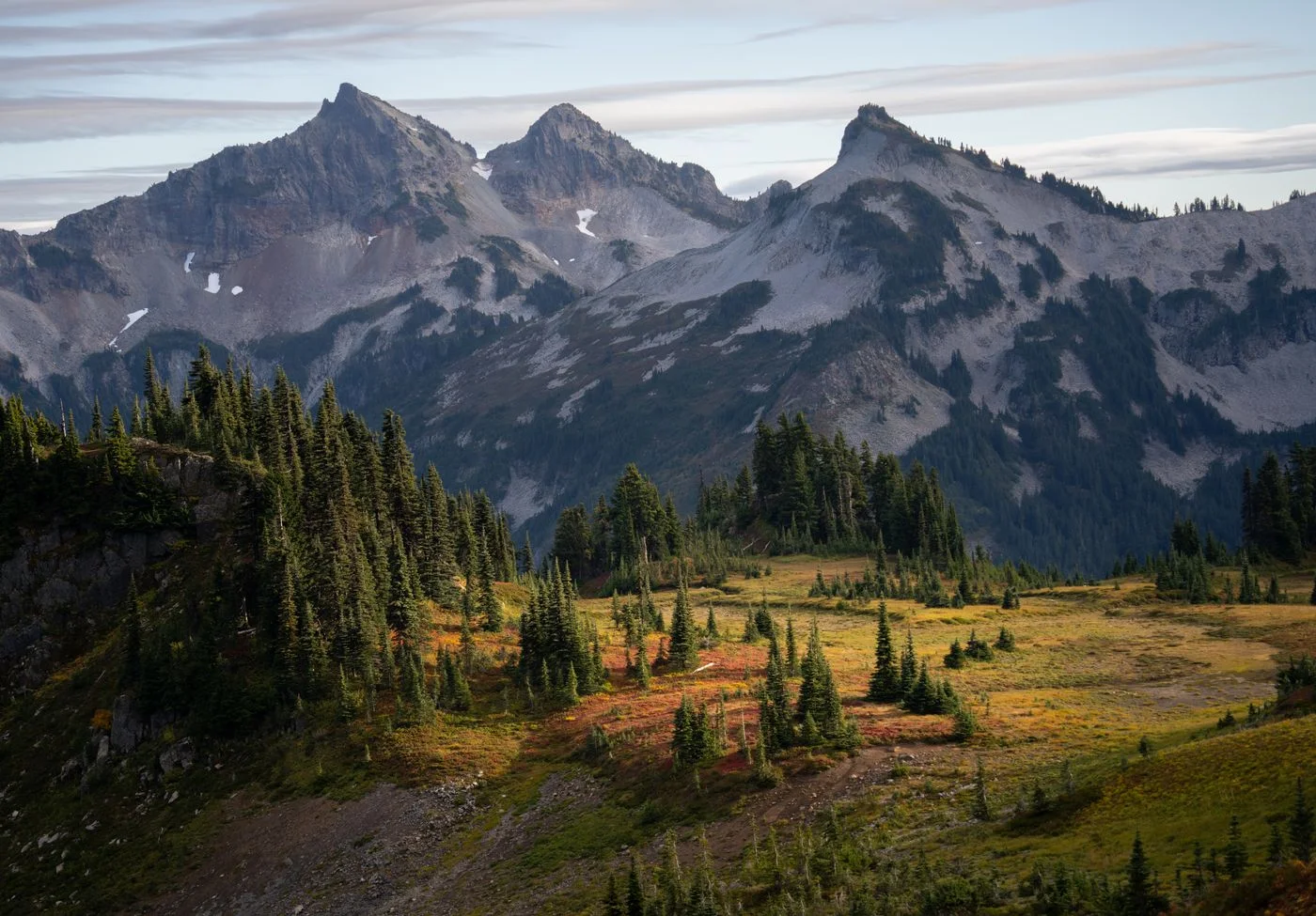 Mountain landscape and forest in Mount Rainier National Park