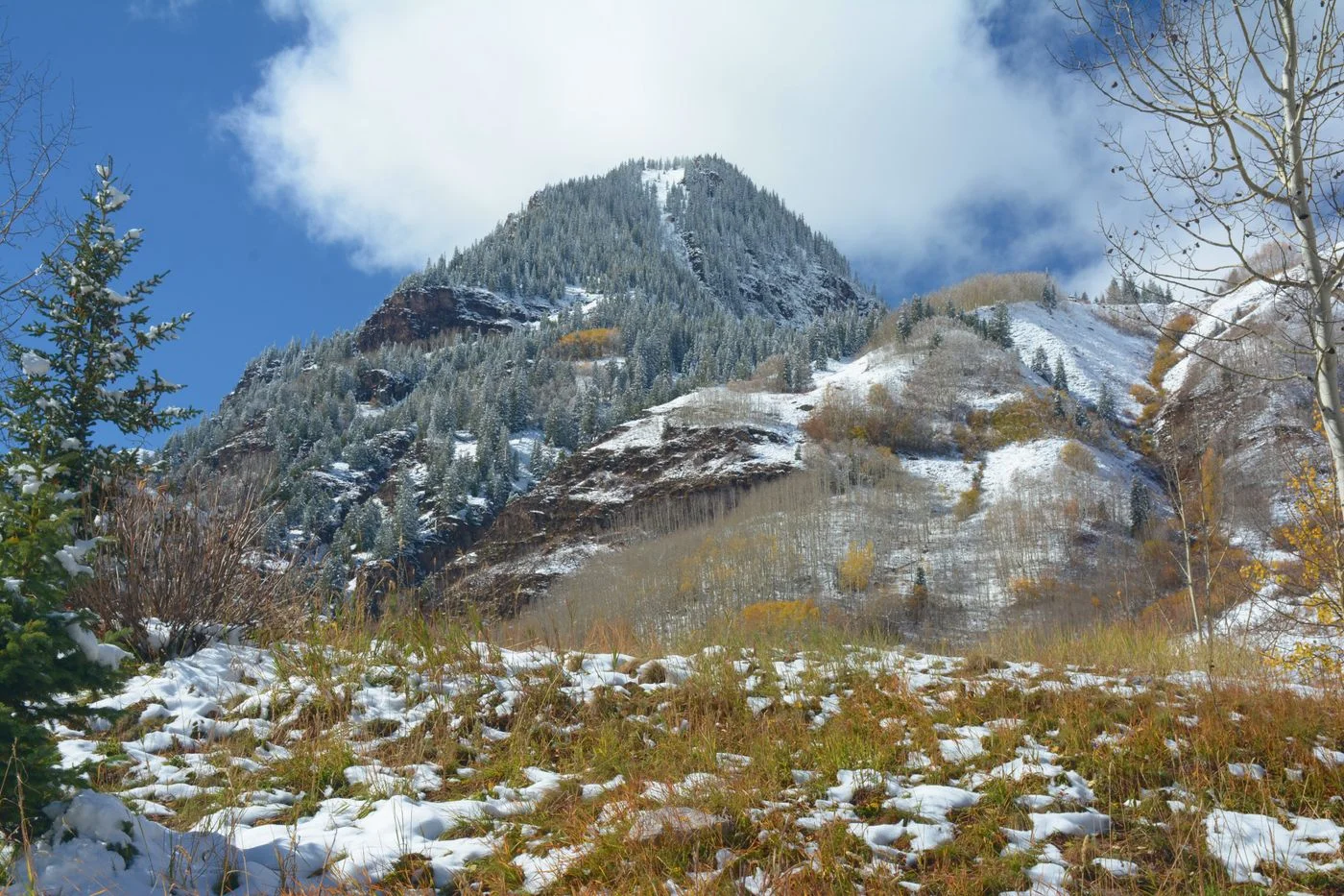 Autumn foliage and snow-dusted mountains near Aspen Colorado