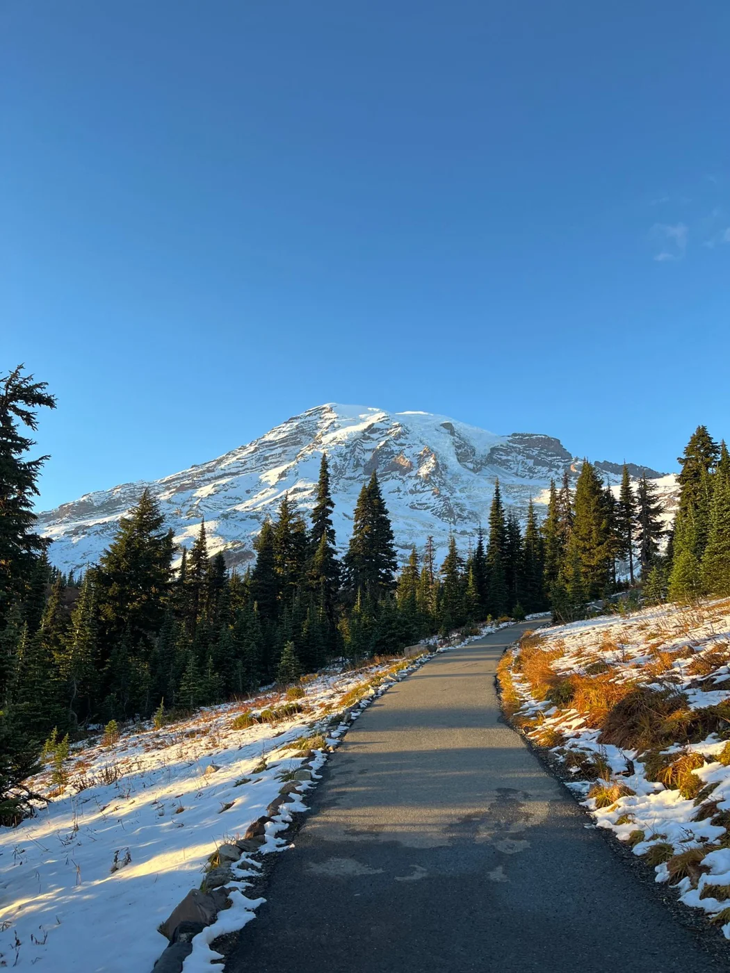 A paved path beside snow beneath Mount Rainier in Washington